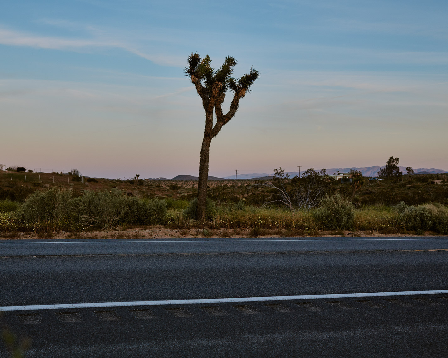 190406_LaCopine_873